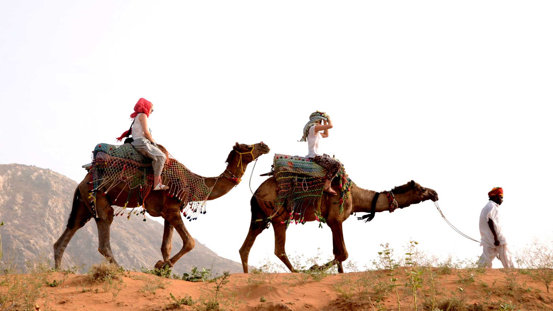Desert Safari